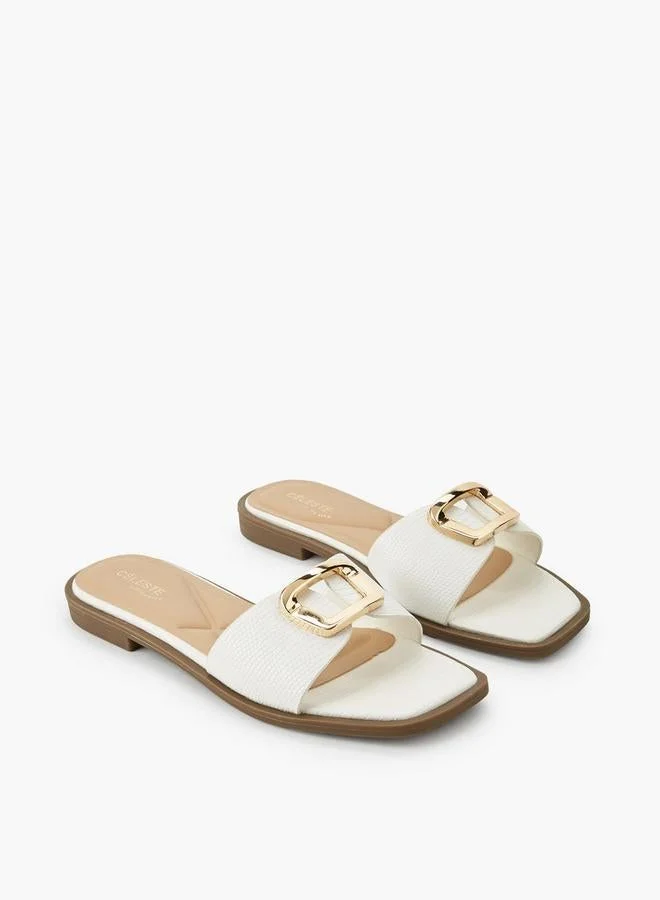 سيليست صنادل فلات سيليست